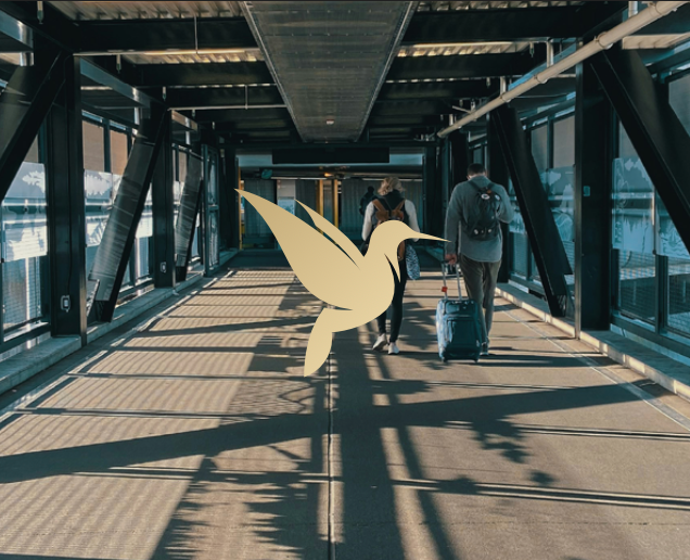 Screenshot 2026-01-14 at 11.16.21 PM